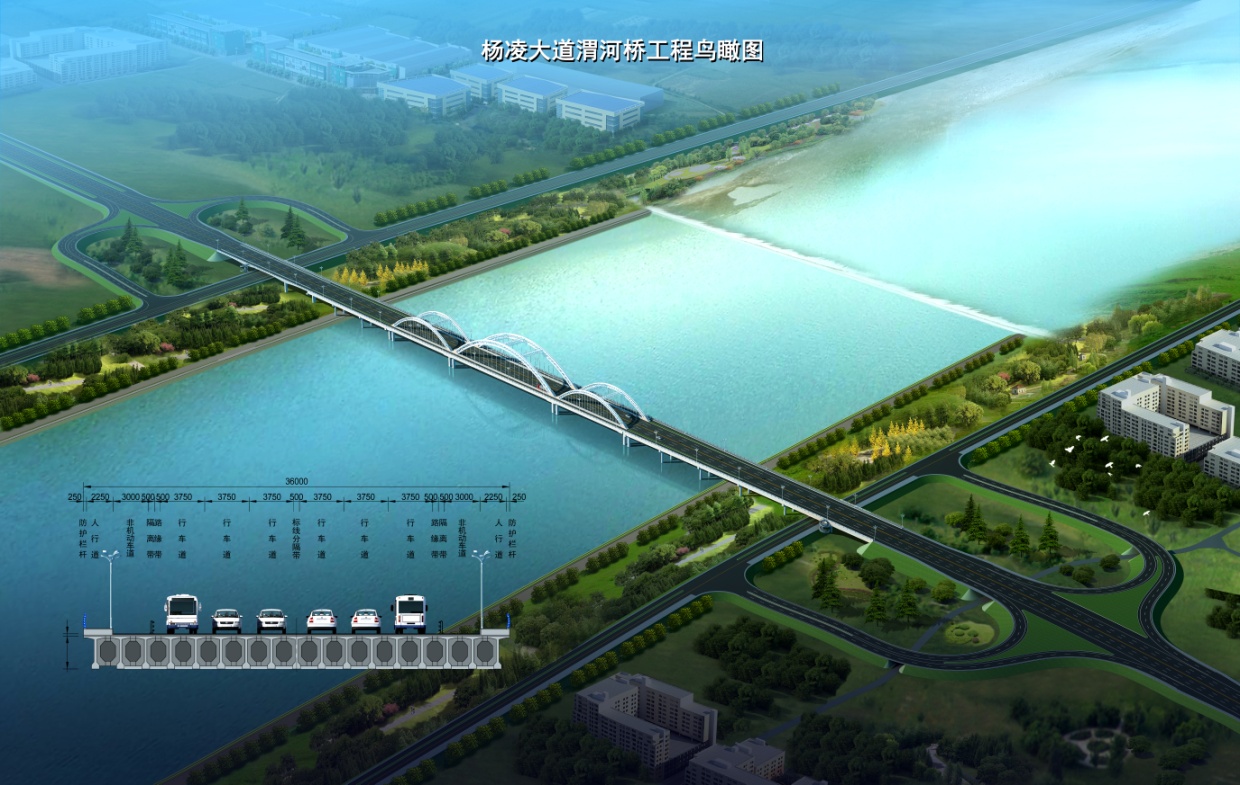 1528093214653055216.jpg 图片13.jpg