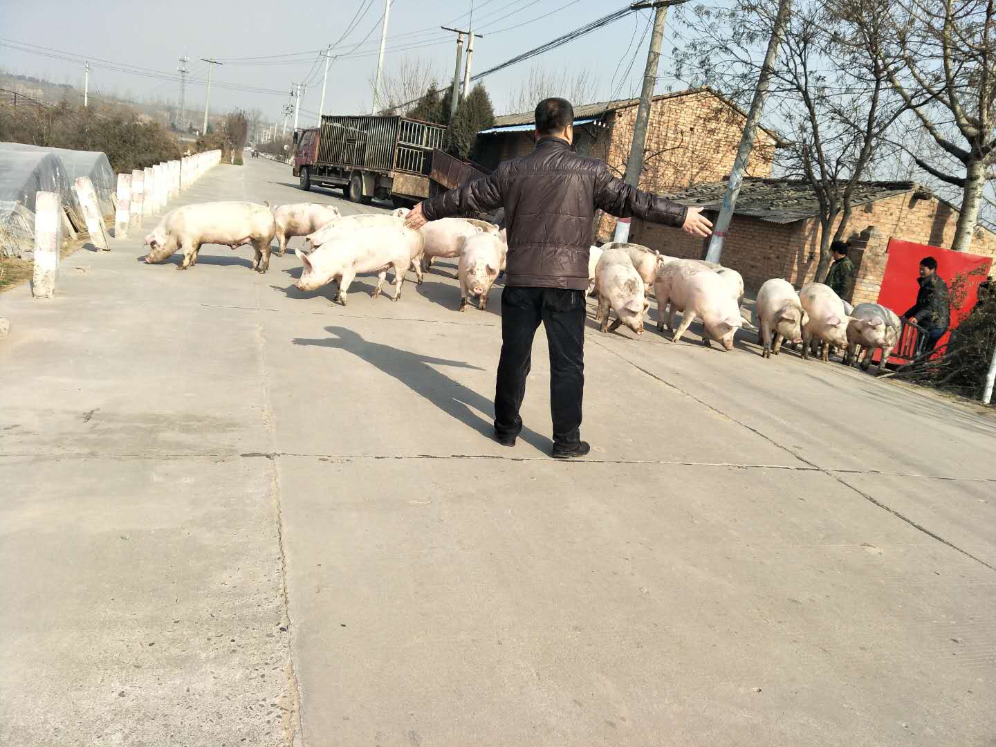 太子藏积极展开畜禽养殖清理工作