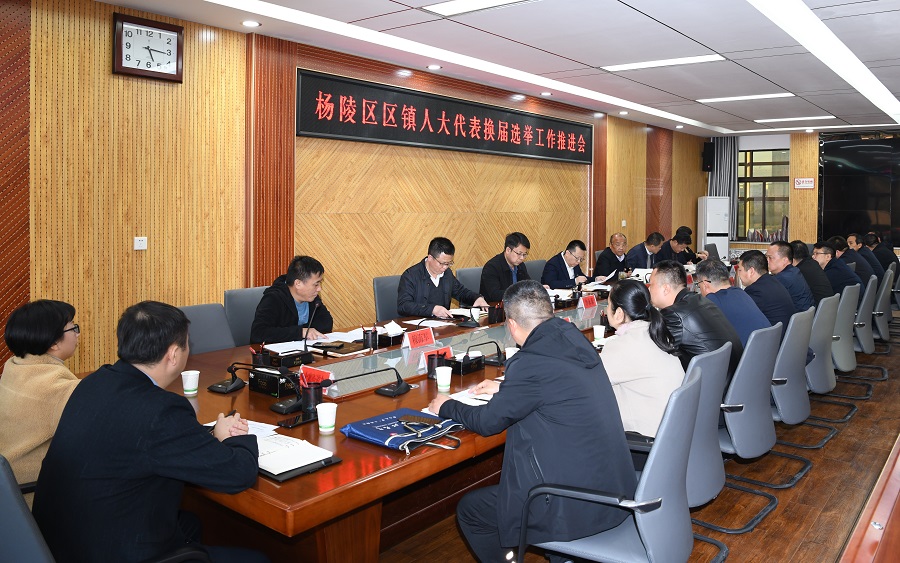 ljj雷竞技召开区镇人大代表换届选举工作推进会