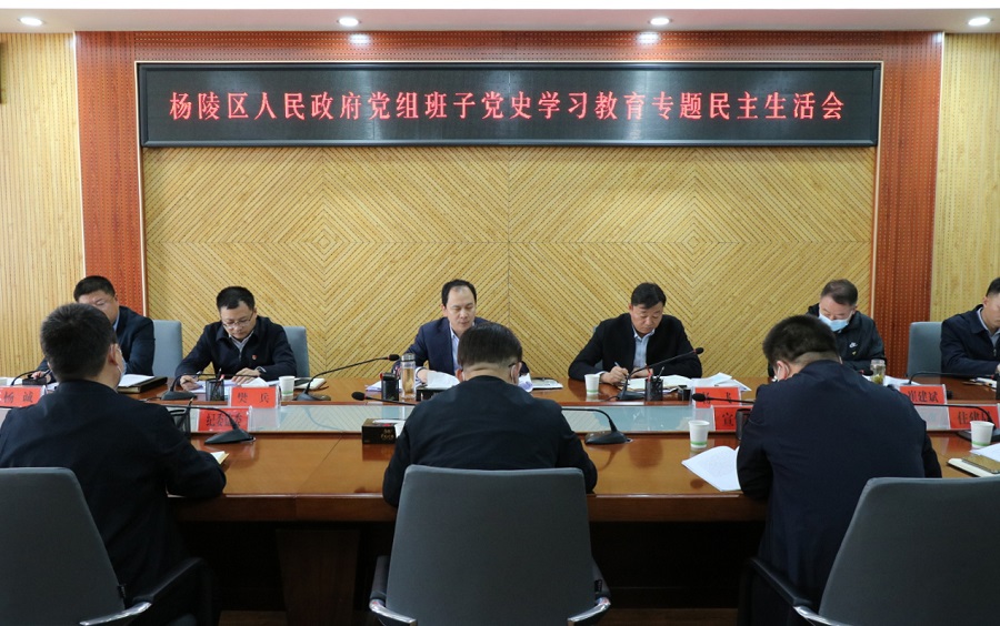 ljj雷竞技政府党组班子召开党史学习教育专题民主生活会