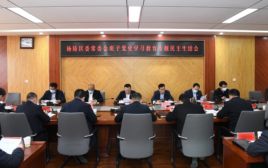 ljj雷竞技委常委班子召开党史学习教育专题民主生活会