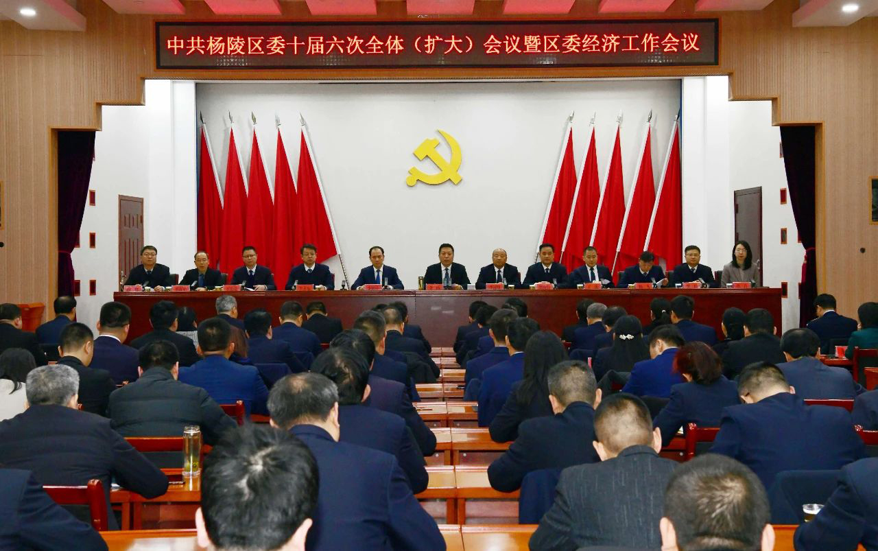 中共ljj雷竞技委十届六次全体（扩大）会议暨区委经济工作会议举行