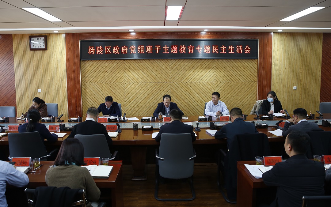 ljj雷竞技政府党组班子召开主题教育专题民主生活会
