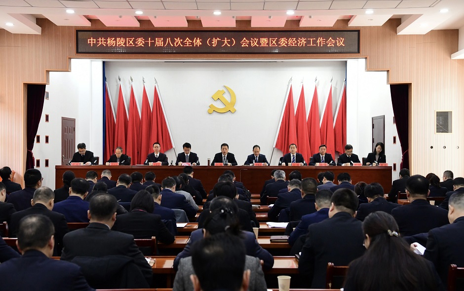 中共ljj雷竞技委十届八次全体（扩大）会议暨区委经济工作会议举行