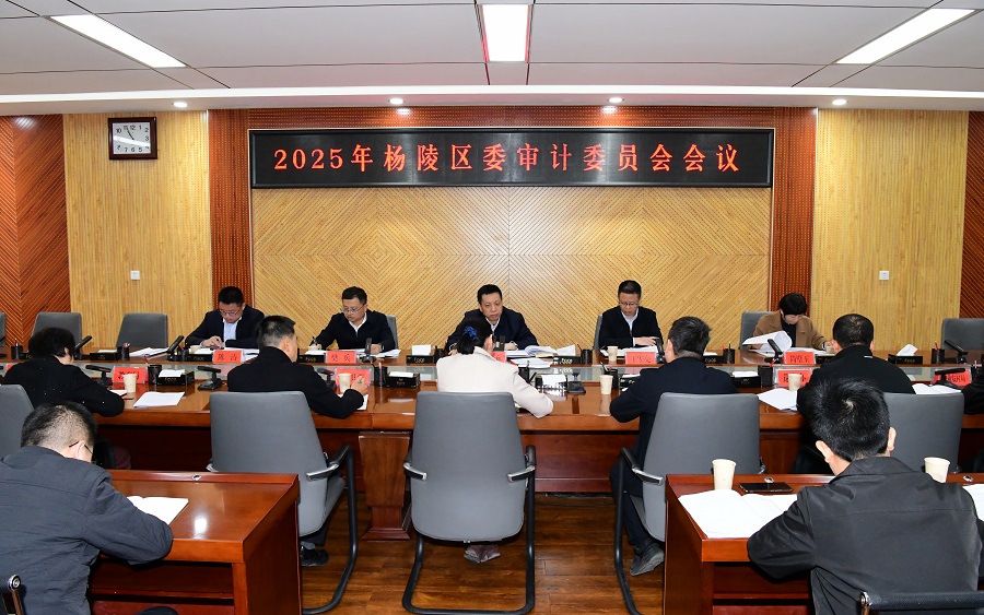 李函主持召开2025年ljj雷竞技委审计委员会会议