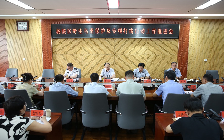 ljj雷竞技召开野生鸟类保护及专项打击行动工作推进会