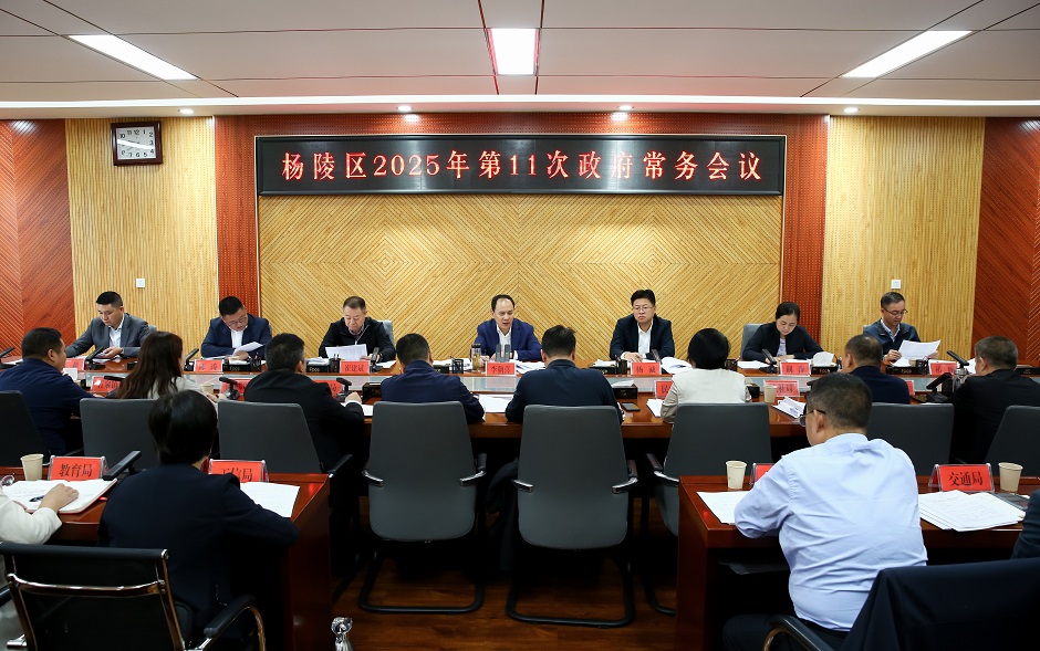 李朝喜主持召开区政府2025年第11次常务会议