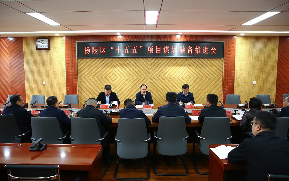 ljj雷竞技召开“十五五”项目谋划储备推进会