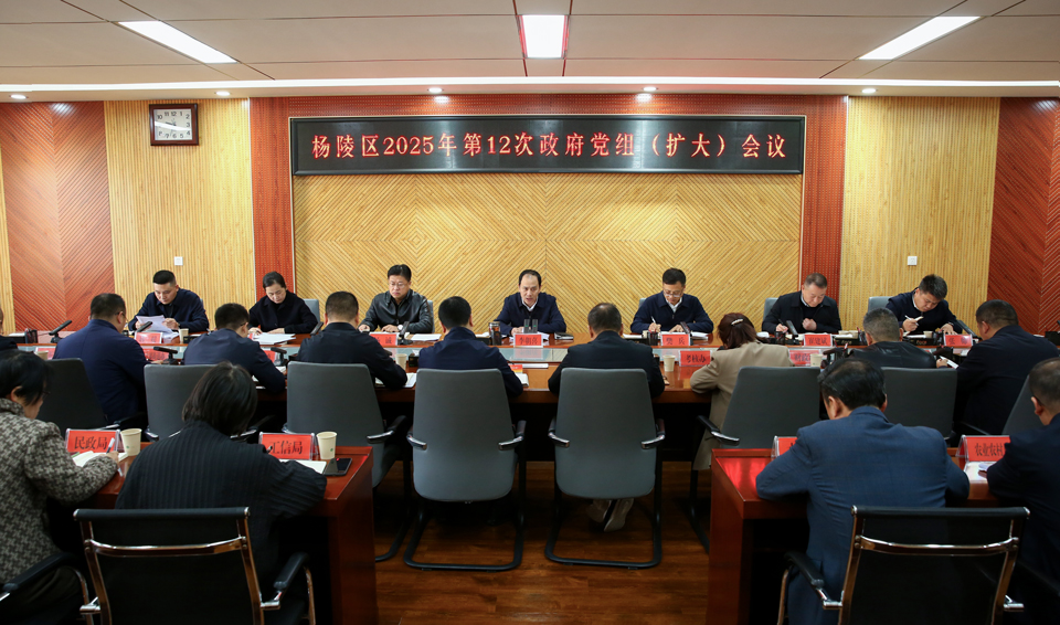 李朝喜主持召开区政府2025年第12次党组（扩大）会议