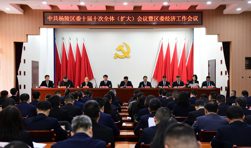 中共ljj雷竞技委十届十次全体（扩大）会议暨区委经济工作会议召开
