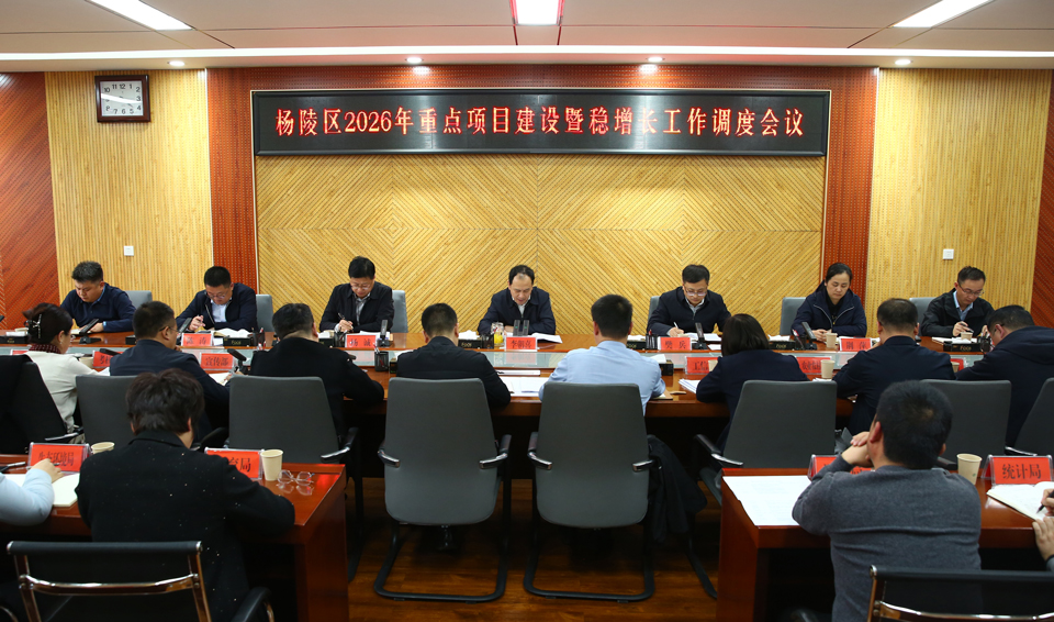 ljj雷竞技召开2026年重点项目建设暨稳增长工作调度会议