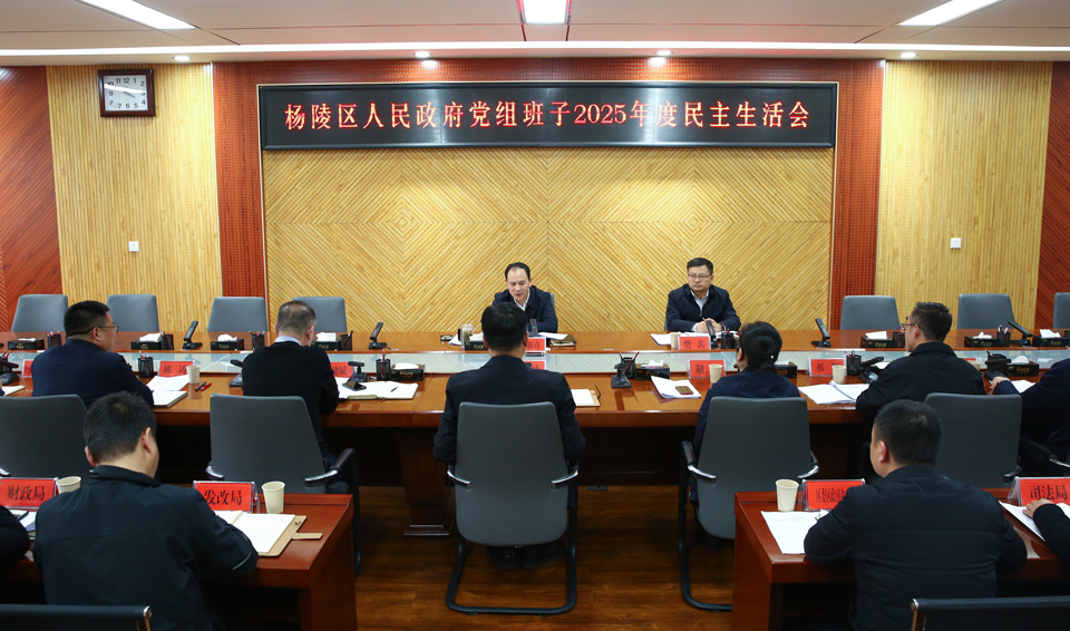 ljj雷竞技政府党组班子召开2025年度民主生活会