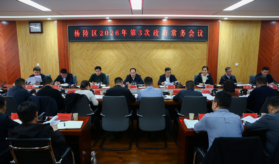 李朝喜主持召开区政府2026年第3次常务会议
