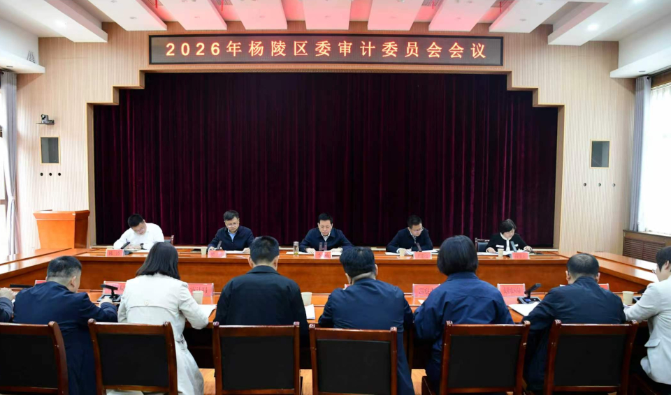 李函主持召开2026年ljj雷竞技委审计委员会会议